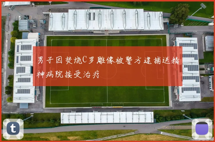 男子因焚烧C罗雕像被警方逮捕送精神病院接受治疗