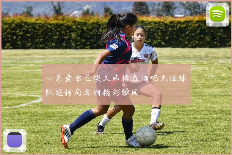 心系爱尔兰埃文弗格森酒吧见证球队逆转匈牙利精彩瞬间