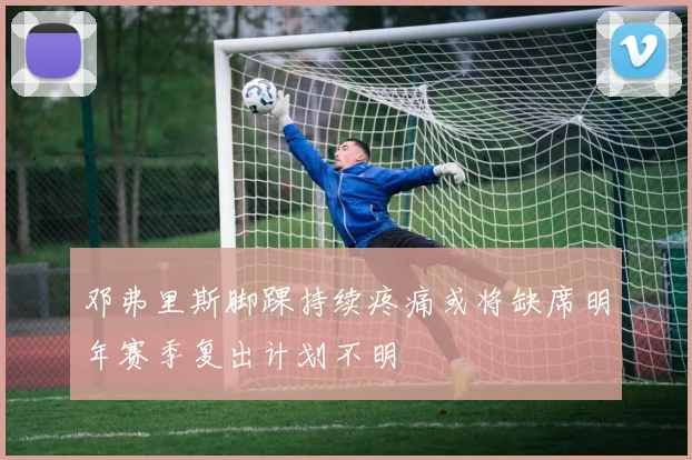 邓弗里斯脚踝持续疼痛或将缺席明年赛季复出计划不明
